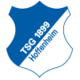 Mannschaftslogo: 1899 Hoffenheim